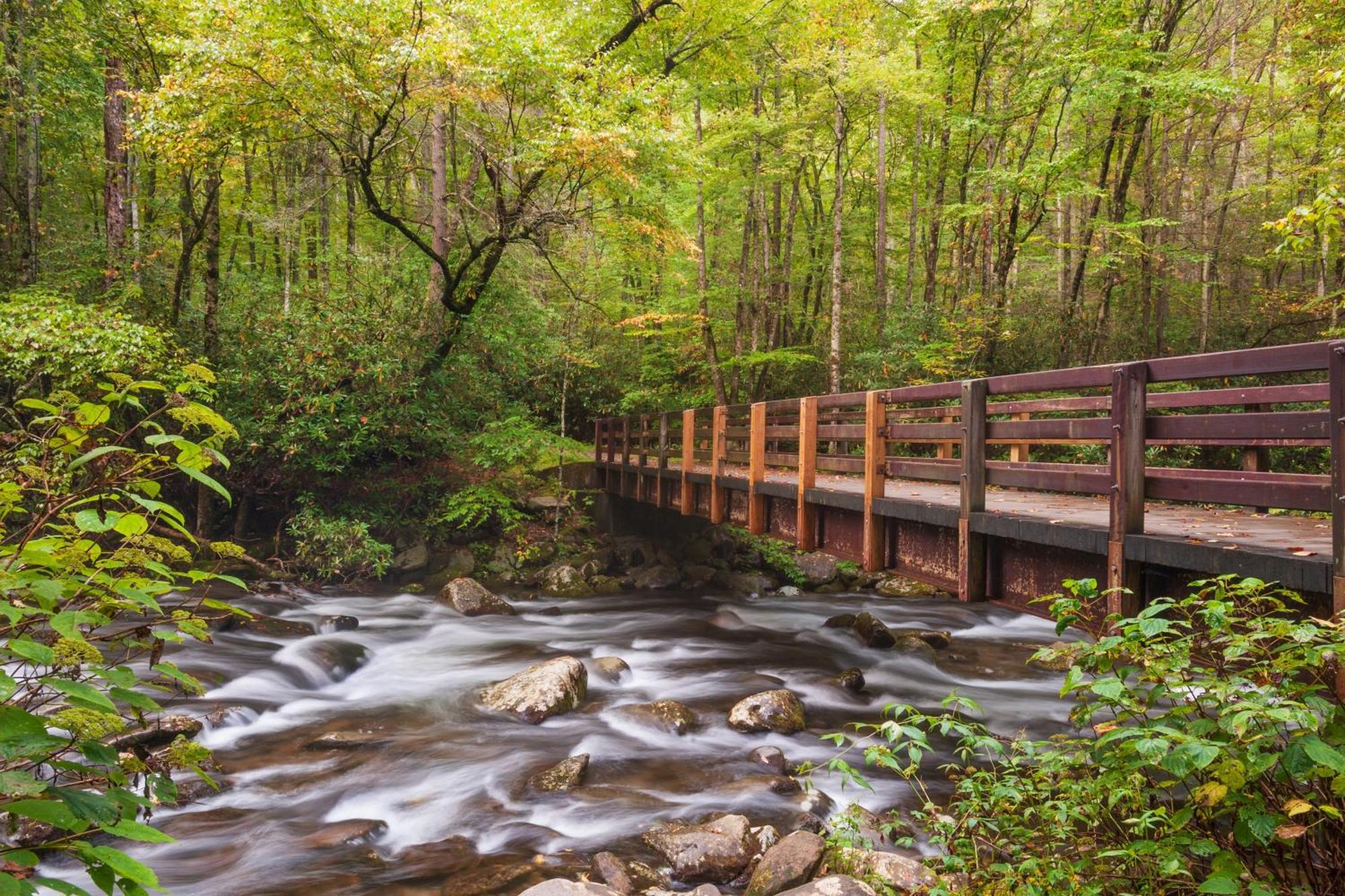 Apple Valley Hideaway, 1089 Of Free Attraction Tickets For Each Paid Day, Dollywood And More! พิเจนฟอร์จ ภายนอก รูปภาพ